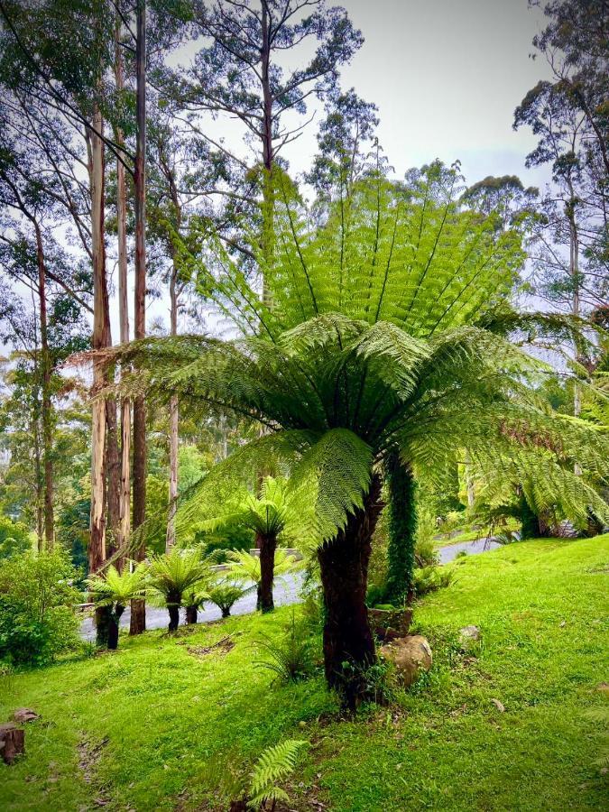 Melbourne Topview Villa In Dandenong Ranges Near Skyhigh Kalorama Экстерьер фото