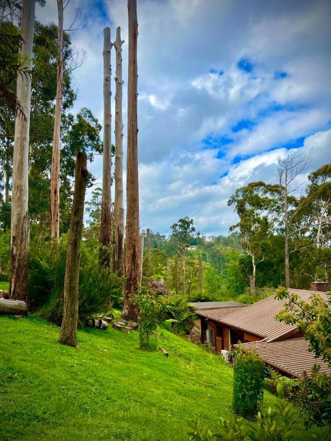 Melbourne Topview Villa In Dandenong Ranges Near Skyhigh Kalorama Экстерьер фото