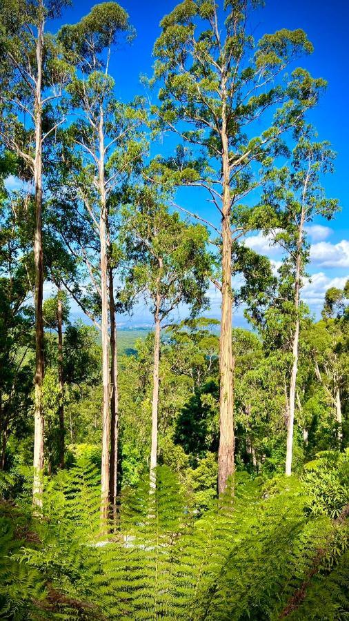 Melbourne Topview Villa In Dandenong Ranges Near Skyhigh Kalorama Экстерьер фото