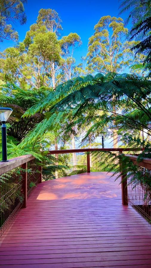 Melbourne Topview Villa In Dandenong Ranges Near Skyhigh Kalorama Экстерьер фото