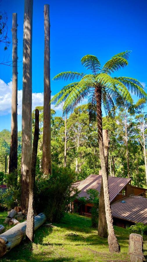 Melbourne Topview Villa In Dandenong Ranges Near Skyhigh Kalorama Экстерьер фото