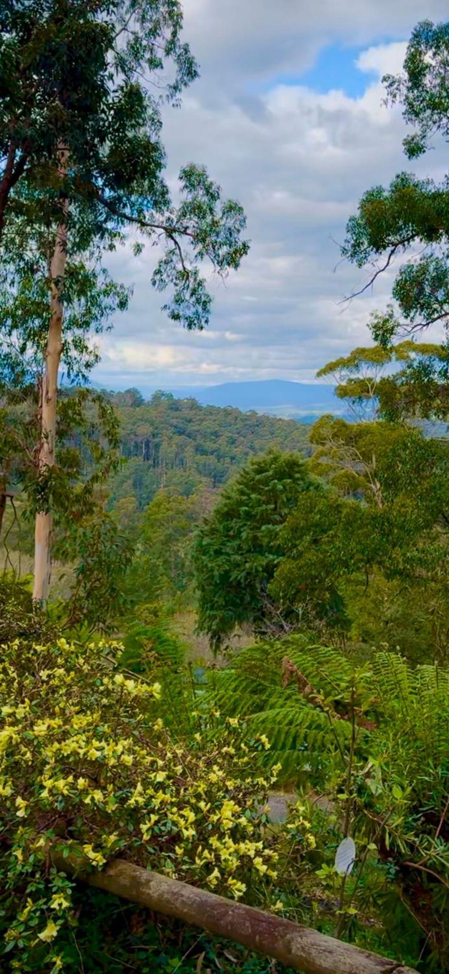 Melbourne Topview Villa In Dandenong Ranges Near Skyhigh Kalorama Экстерьер фото