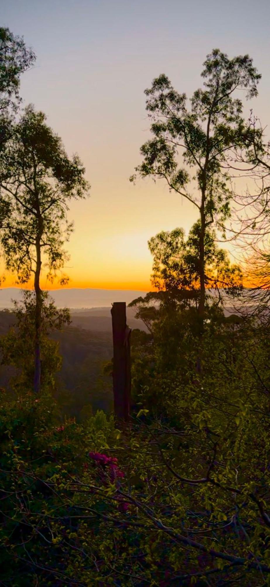 Melbourne Topview Villa In Dandenong Ranges Near Skyhigh Kalorama Экстерьер фото